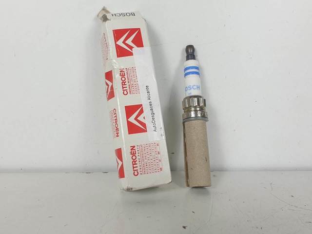 242129500 Peugeot/Citroen