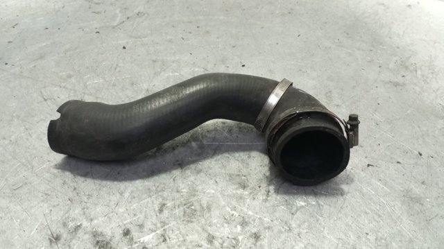 Mangueira (cano derivado) de intercooler 24442216 OPEL