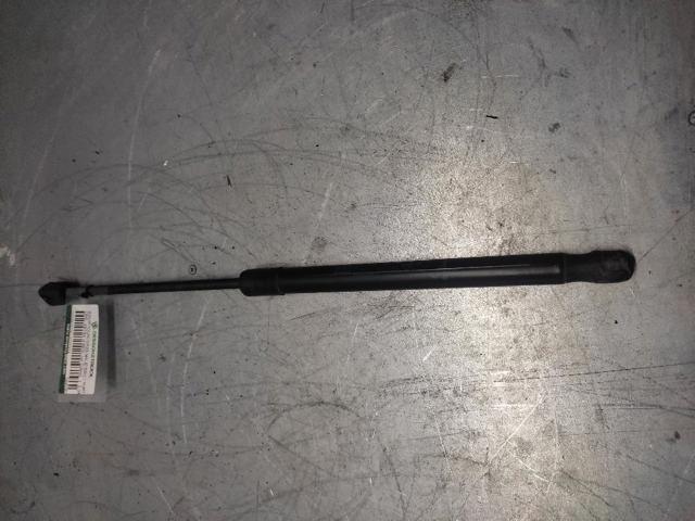 Amortecedor de tampa de porta-malas (de 3ª/5ª porta traseira) 24463829 OPEL