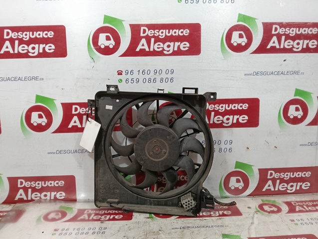 24467444 Peugeot/Citroen