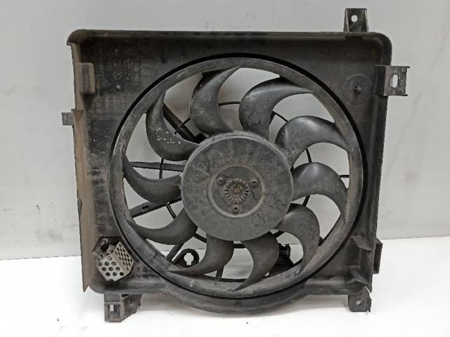 24467444 Peugeot/Citroen