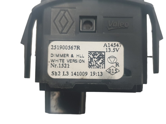 251900567R Renault (RVI)