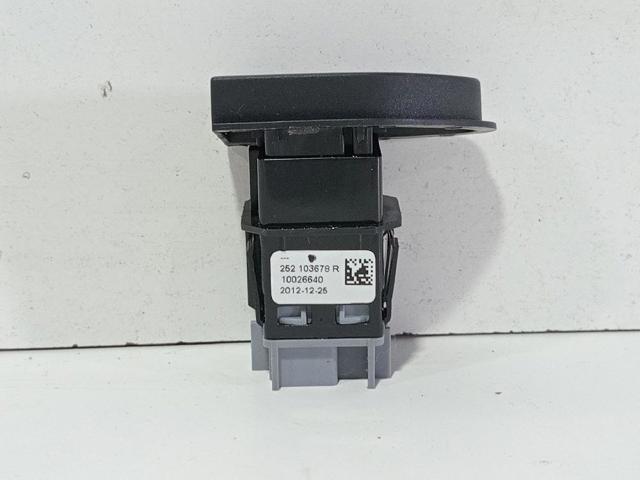 252103678R Renault (RVI)