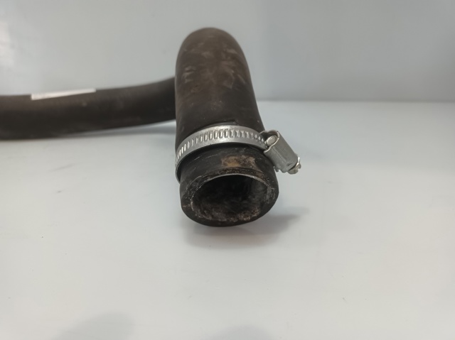 Mangueira (cano derivado) do radiador de esfriamento superior 254112E100 HYUNDAI