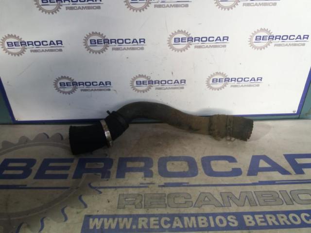 Mangueira (cano derivado) inferior do radiador de esfriamento 254123E910 HYUNDAI