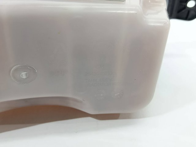 254302B100 Hyundai/Kia
