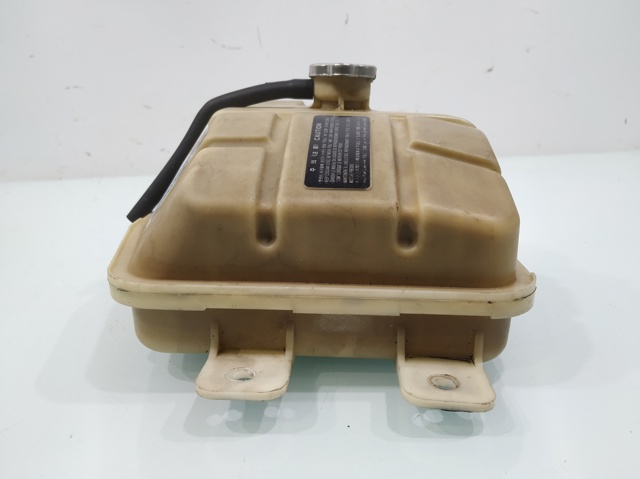 Tanque de expansão do sistema de esfriamento 254303E400 HYUNDAI