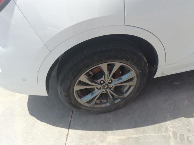 Amortecedor traseiro 2553949 FORD