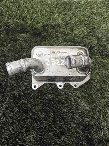 Radiador de óleo 264102F020 HYUNDAI