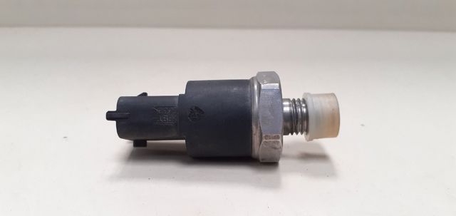 281002405 Renault (RVI)