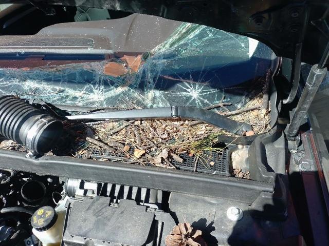 288005974R Renault (RVI)