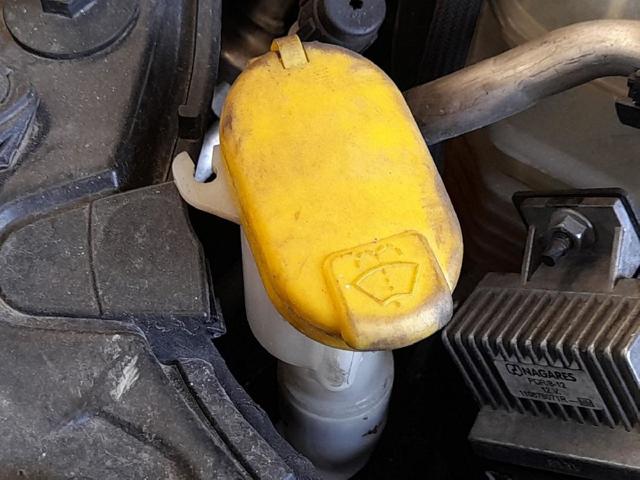 289100003R Renault (RVI)
