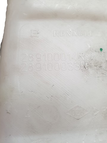 289100014R Renault (RVI)