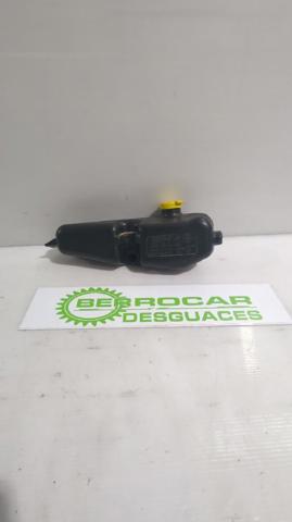 289101168R Renault (RVI)