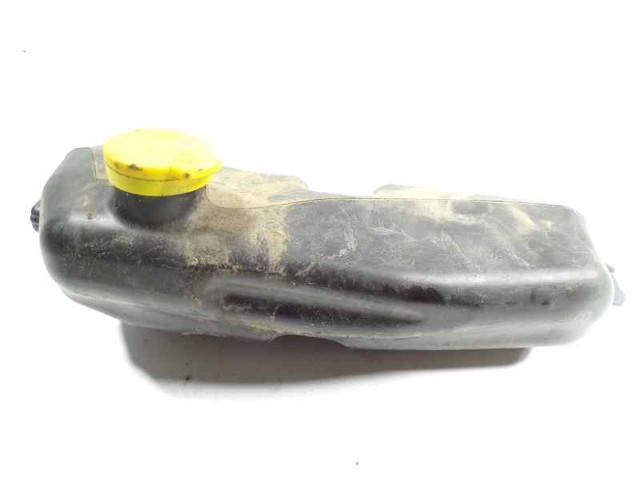 289101168R Renault (RVI)