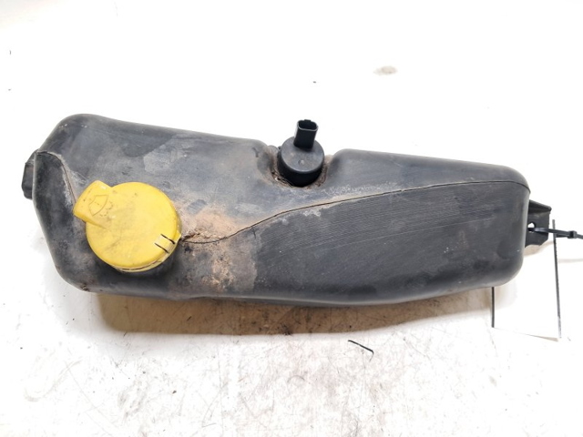 289101168R Renault (RVI)