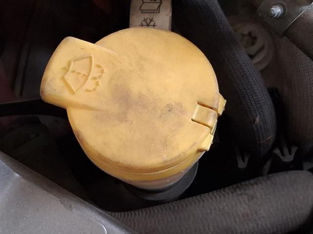 289103155R Renault (RVI)