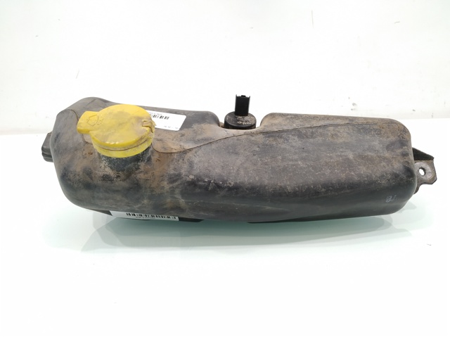 289104583R Renault (RVI)