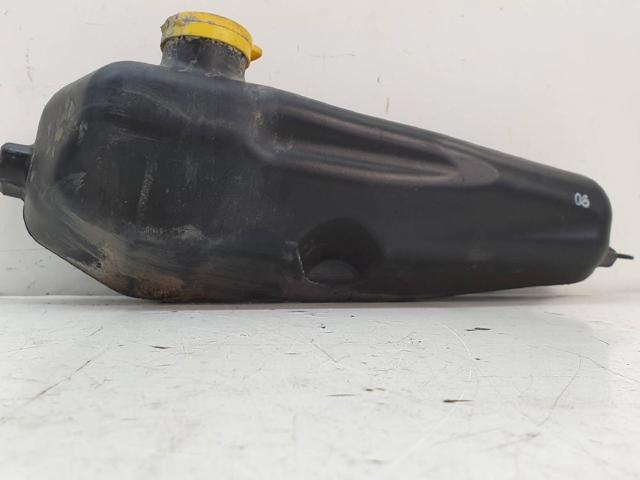 289104583R Renault (RVI)