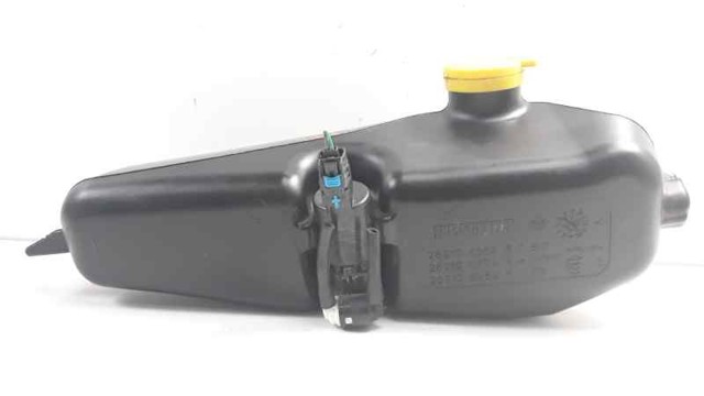 289104583R Renault (RVI)