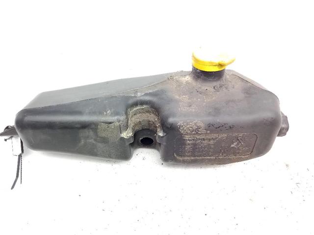 289104583R Renault (RVI)