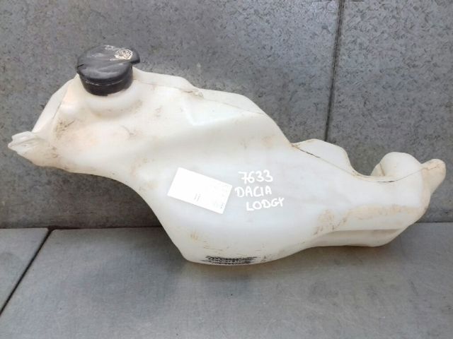 289106925R Renault (RVI)