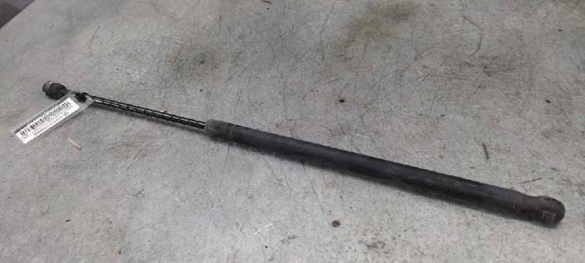 Amortecedor de tampa de porta-malas (de 3ª/5ª porta traseira) 2N11N406A10AD FORD