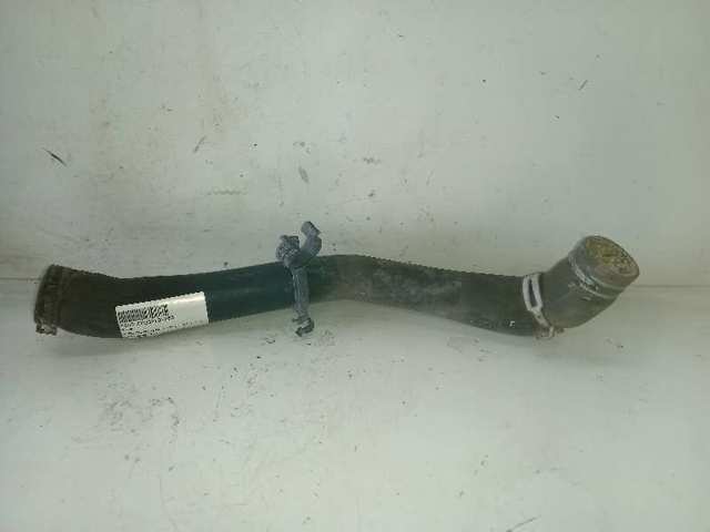 Mangueira (cano derivado) do radiador de esfriamento superior 2S6H8B274AF FORD