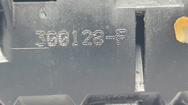 300128F Renault (RVI)