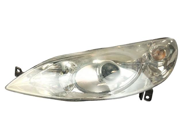 301213201 Peugeot/Citroen