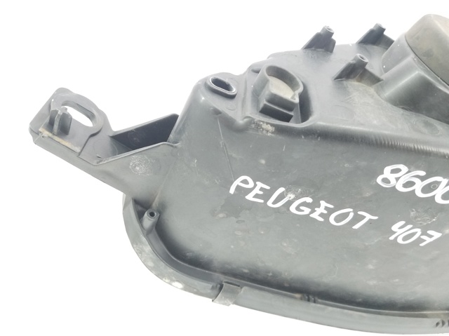 301213202 Peugeot/Citroen