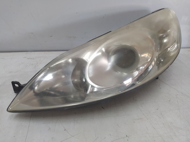301213271 Peugeot/Citroen