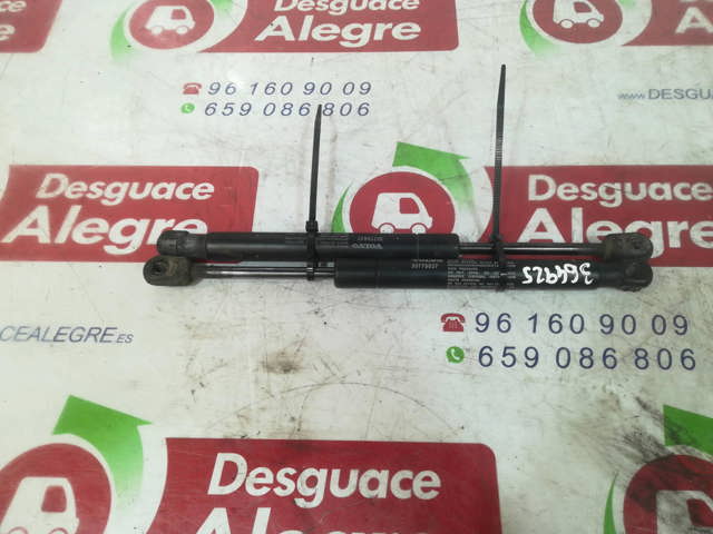 Amortecedor de tampa de porta-malas (de 3ª/5ª porta traseira) 30779837 VOLVO