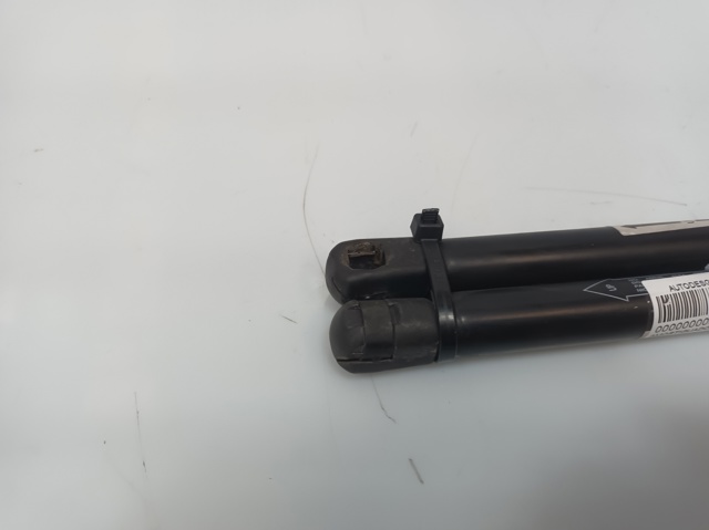 Amortecedor de tampa de porta-malas (de 3ª/5ª porta traseira) 31276851 VOLVO