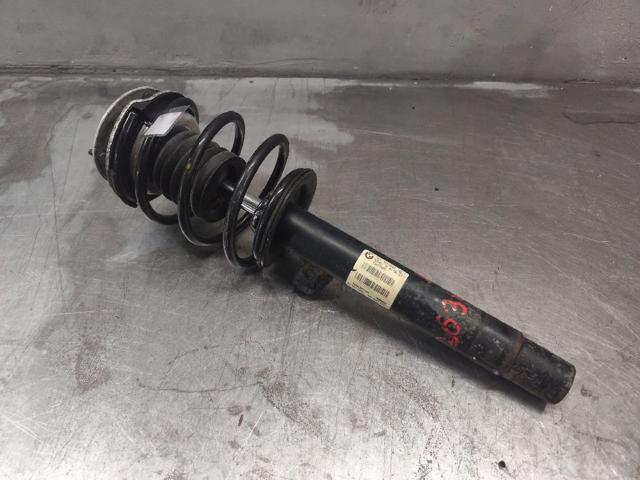 31316757043 BMW