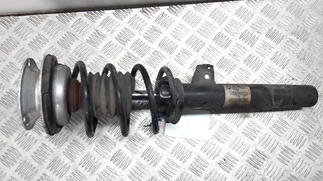 31316768920 BMW