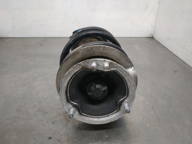 Amortecedor dianteiro esquerdo 31316775055 BMW