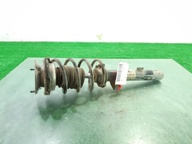 31316786017 BMW