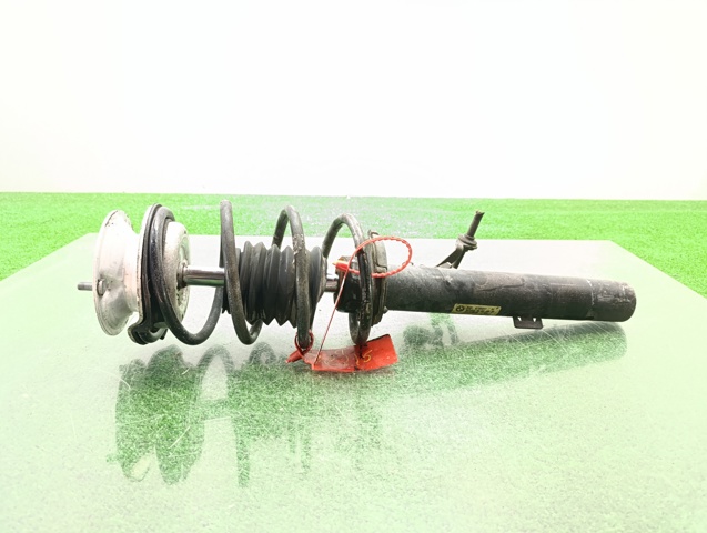 31316786017 BMW