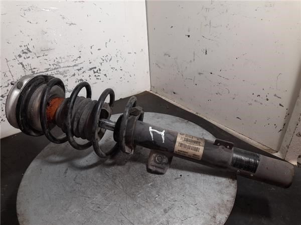 31316786021 BMW