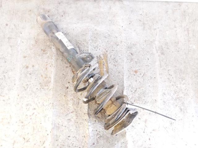 31316789858 BMW