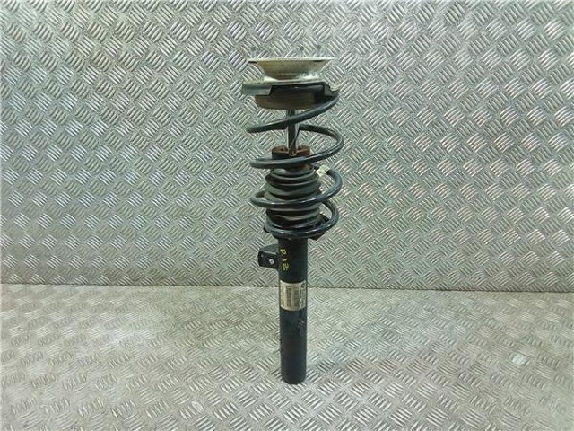 31316796155 BMW