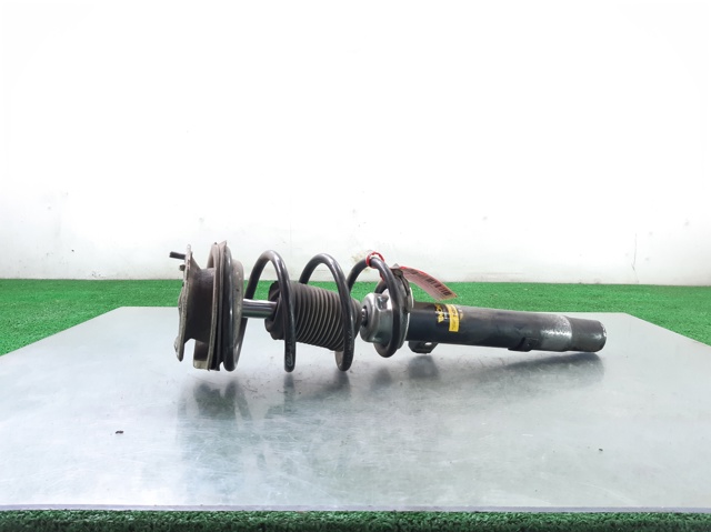 31316796155 BMW