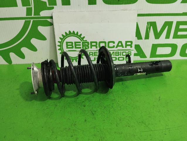 31316796315 BMW