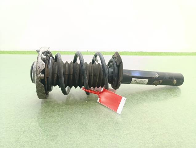 31316867211 BMW