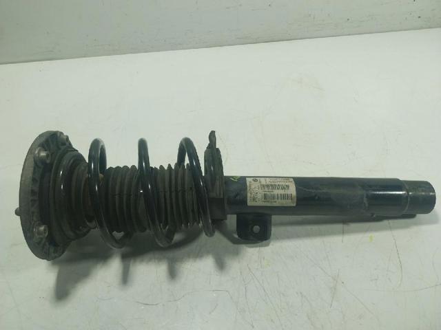 31316873808 BMW