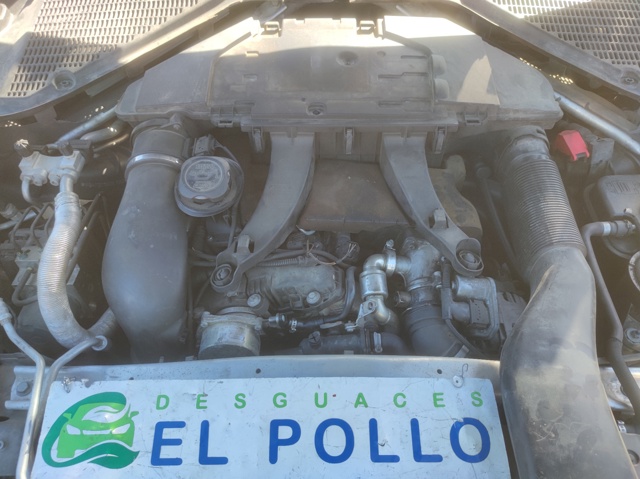 31507612956 BMW