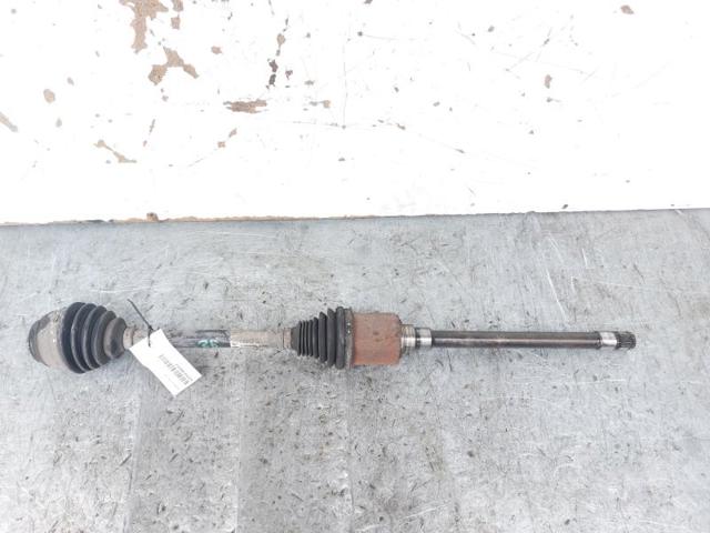 31607619658 BMW