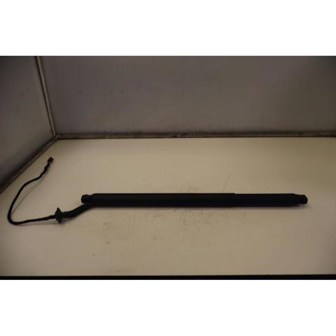 Amortecedor de tampa de porta-malas (de 3ª/5ª porta traseira) 31690604 VOLVO