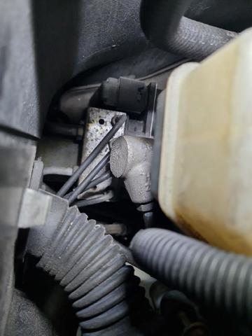34503424684 BMW